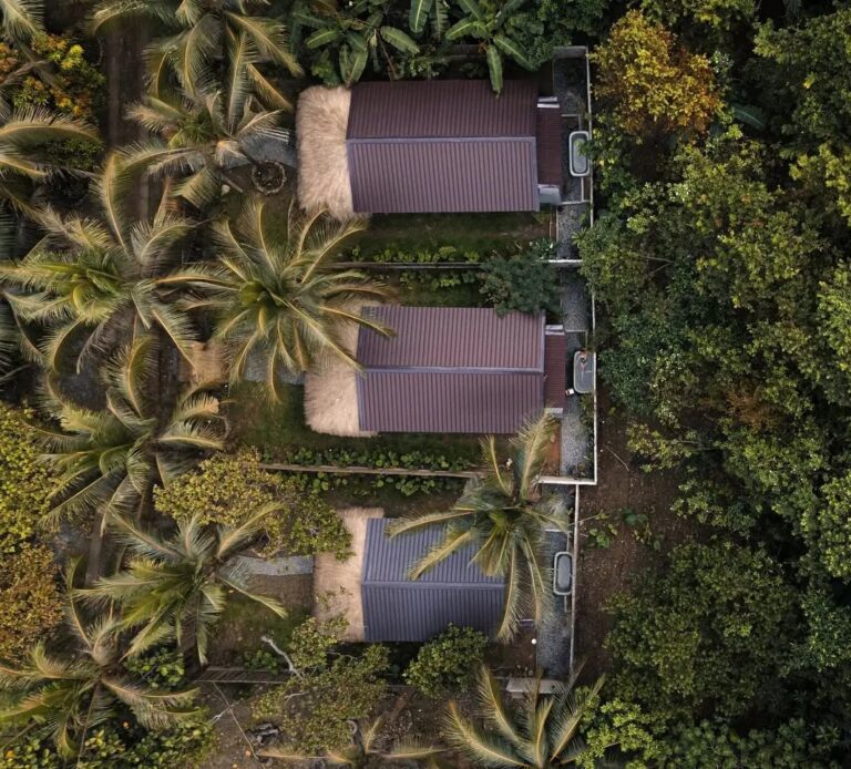 Top-down aerial view of three Inigtan Lio villas surrounded by coconut palms and lush tropical greenery in El Nido, Palawan.
