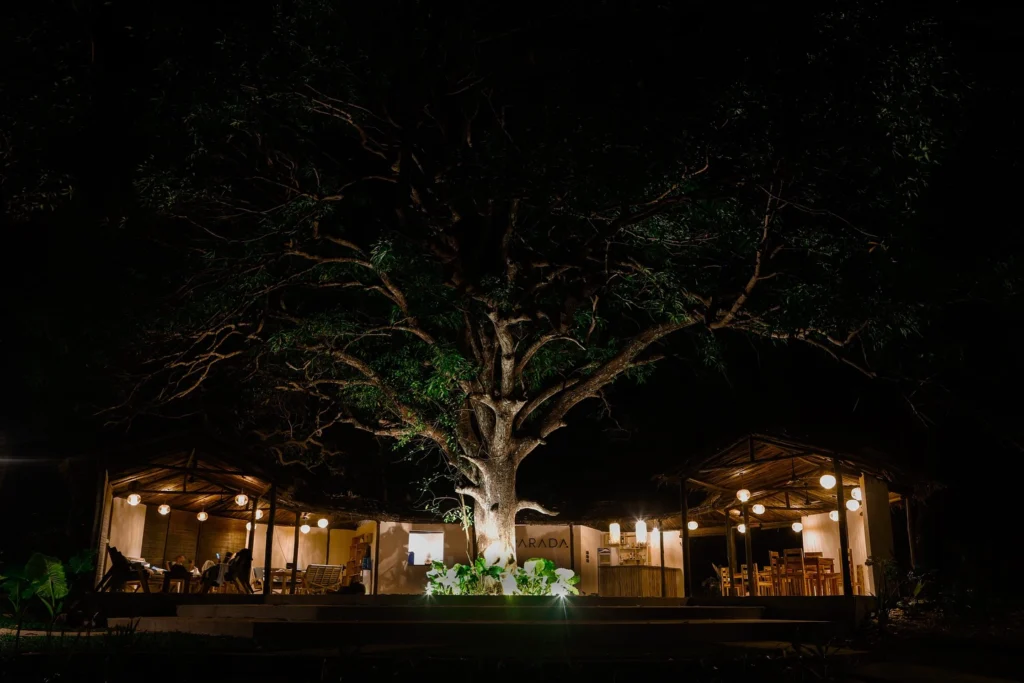 Dining pavilions lit at night under a grand tree at Parada Beach Camp Linapacan