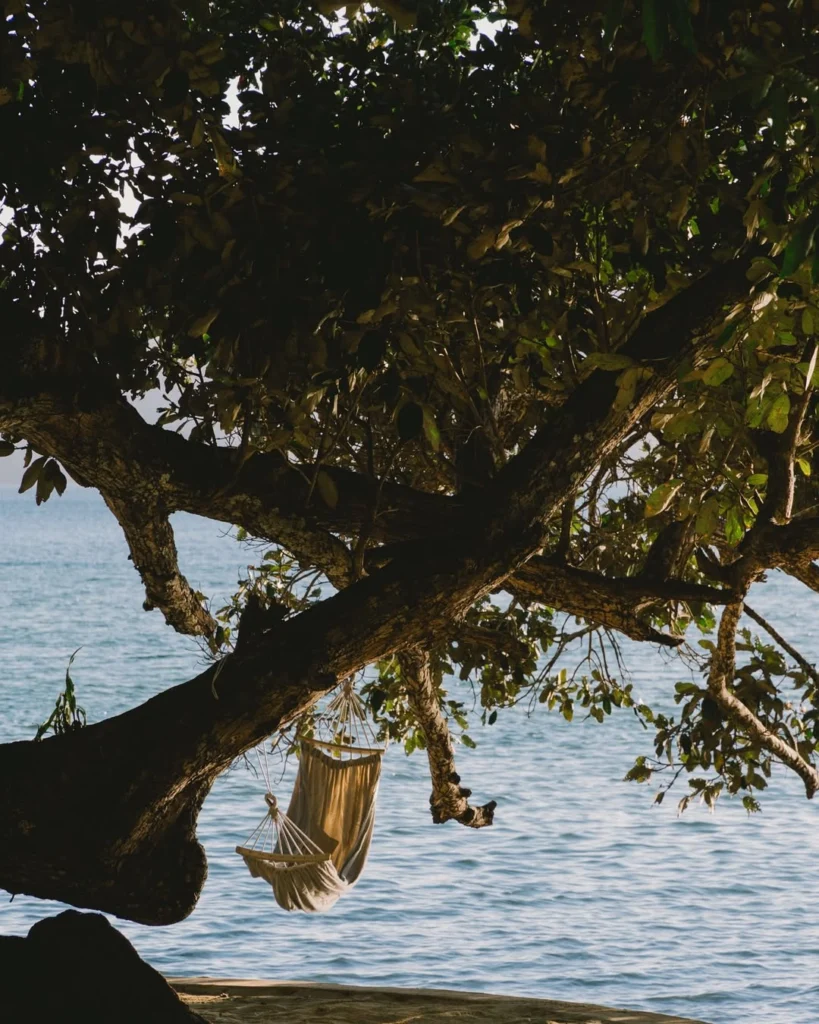 Hanging hammock chair beneath a seaside tree over calm water at Parada Beach Camp Linapacan